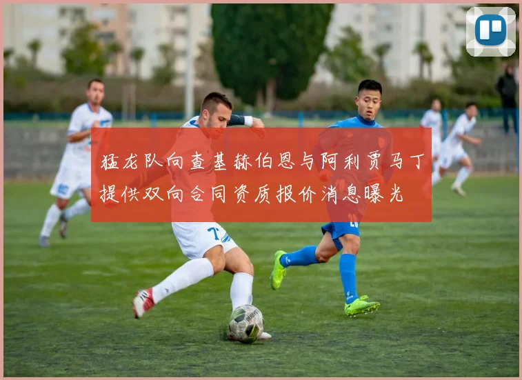 猛龙队向查基赫伯恩与阿利贾马丁提供双向合同资质报价消息曝光