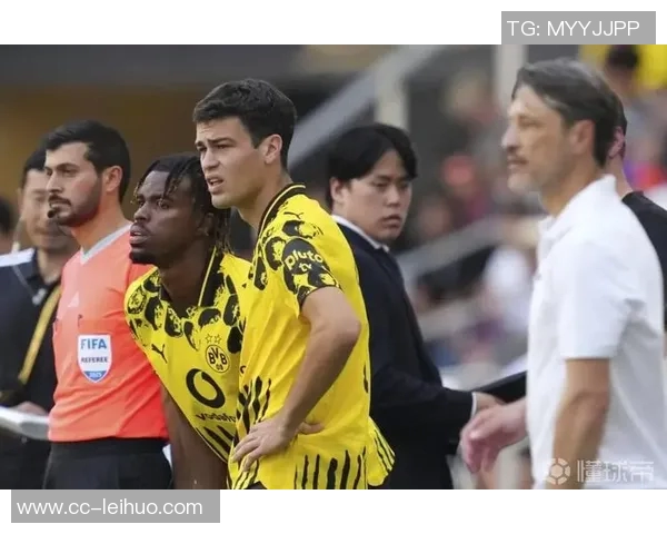 雷纳谈世界杯参赛希望:努力与新策略助我克服伤病挑战 雷纳谈世界杯参赛希望:努力与新策略助我克服伤病挑战