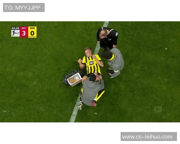 施洛特贝克谈霍芬海姆表现出色缩小与其他球队差距的信心增强 施洛特贝克谈霍芬海姆表现出色缩小与其他球队差距的信心增强